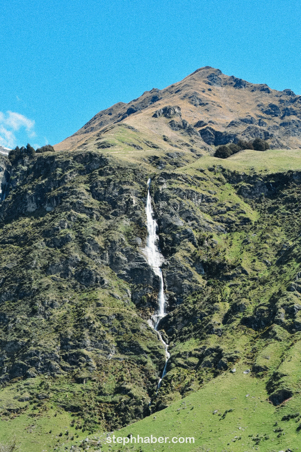 SH_NZ63