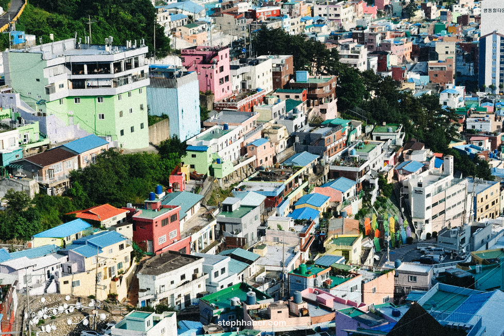 Colorful hillside houses in a densely packed neighborhood.
