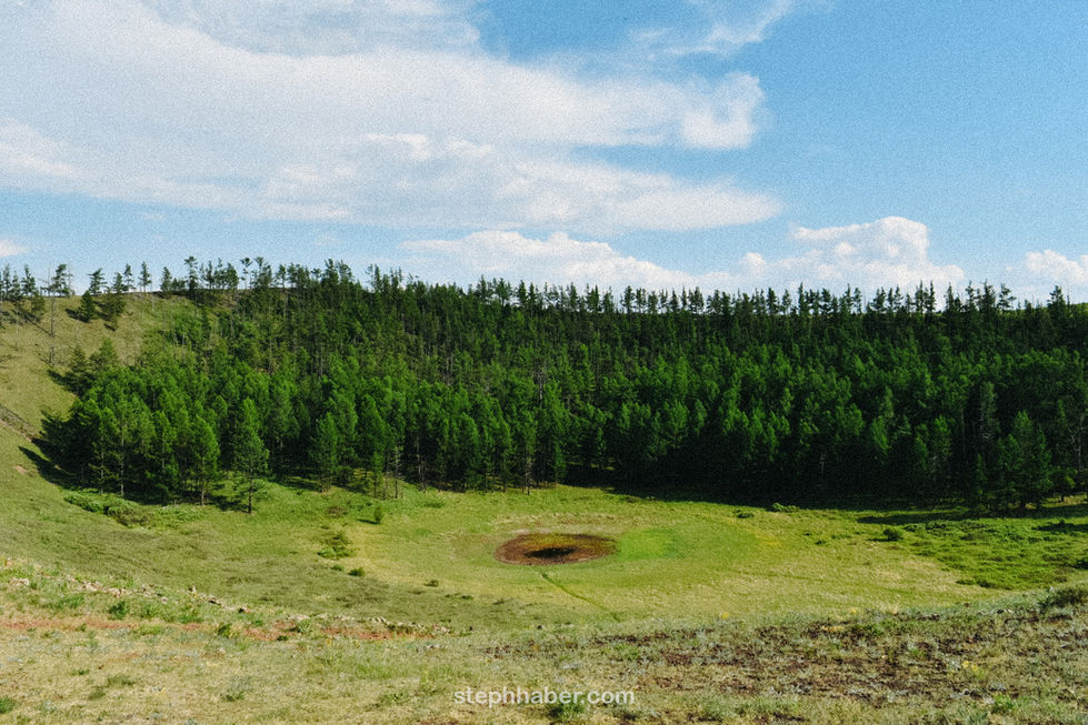 Forest and grassy field under a blue sky.