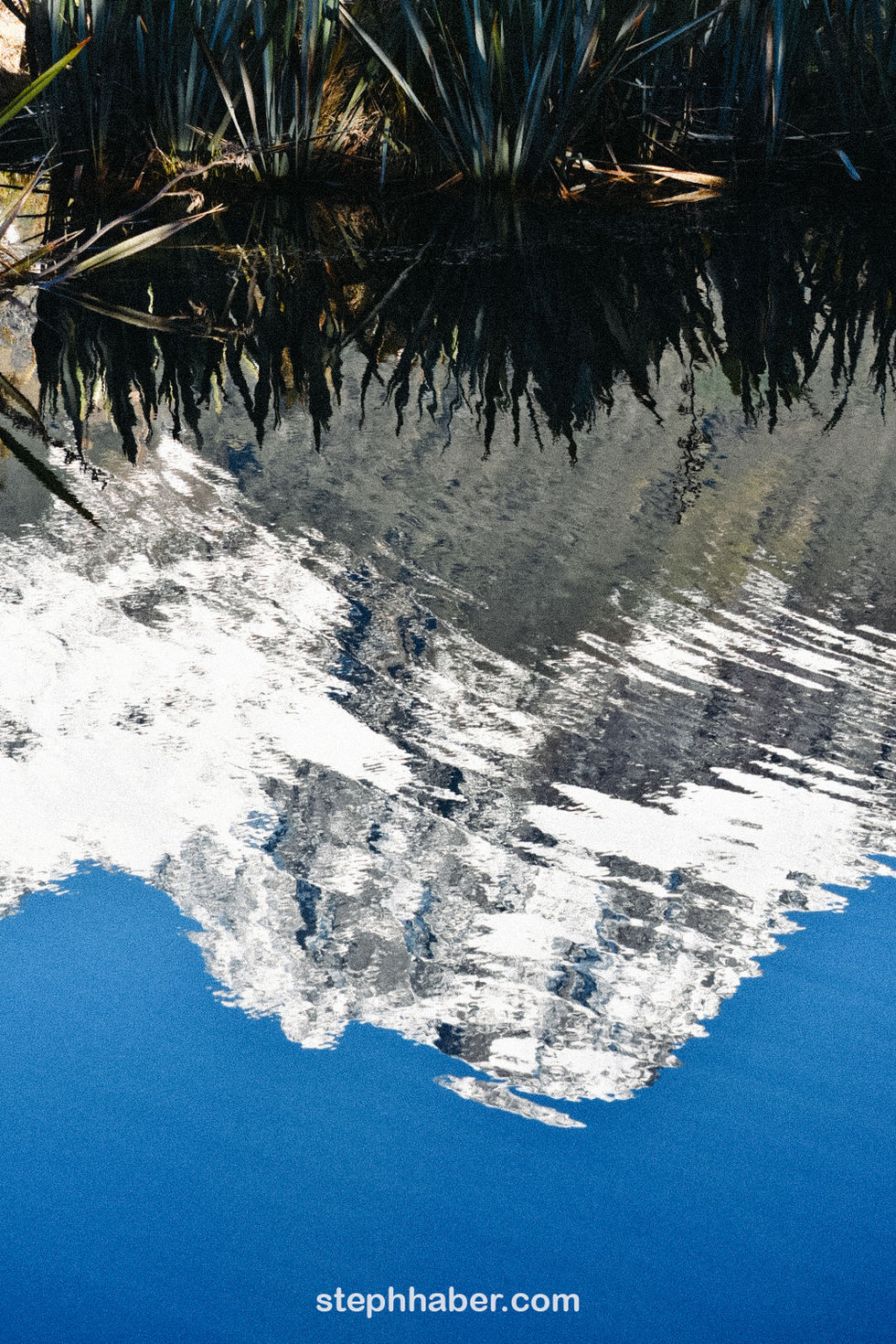 SH_NZ11