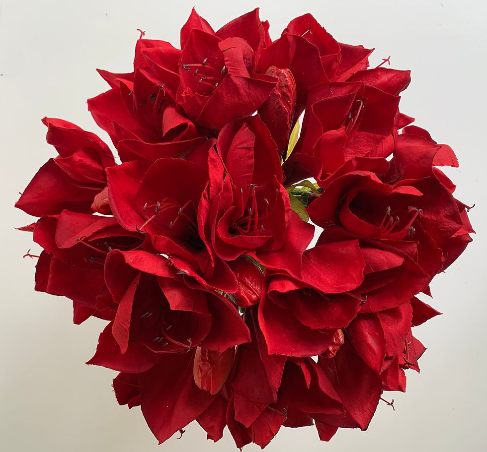 Thumbnail: Amaryllis Stems in Pineapple Vase
