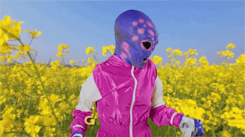 giphy.gif