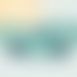 Kfz Saisson Selbstagieren!