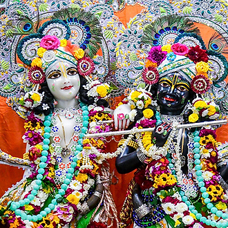 Krishna-Balaram im ISKCON-Tempel in Vrindavan