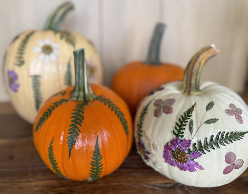 Pressed Flower Pumpkins