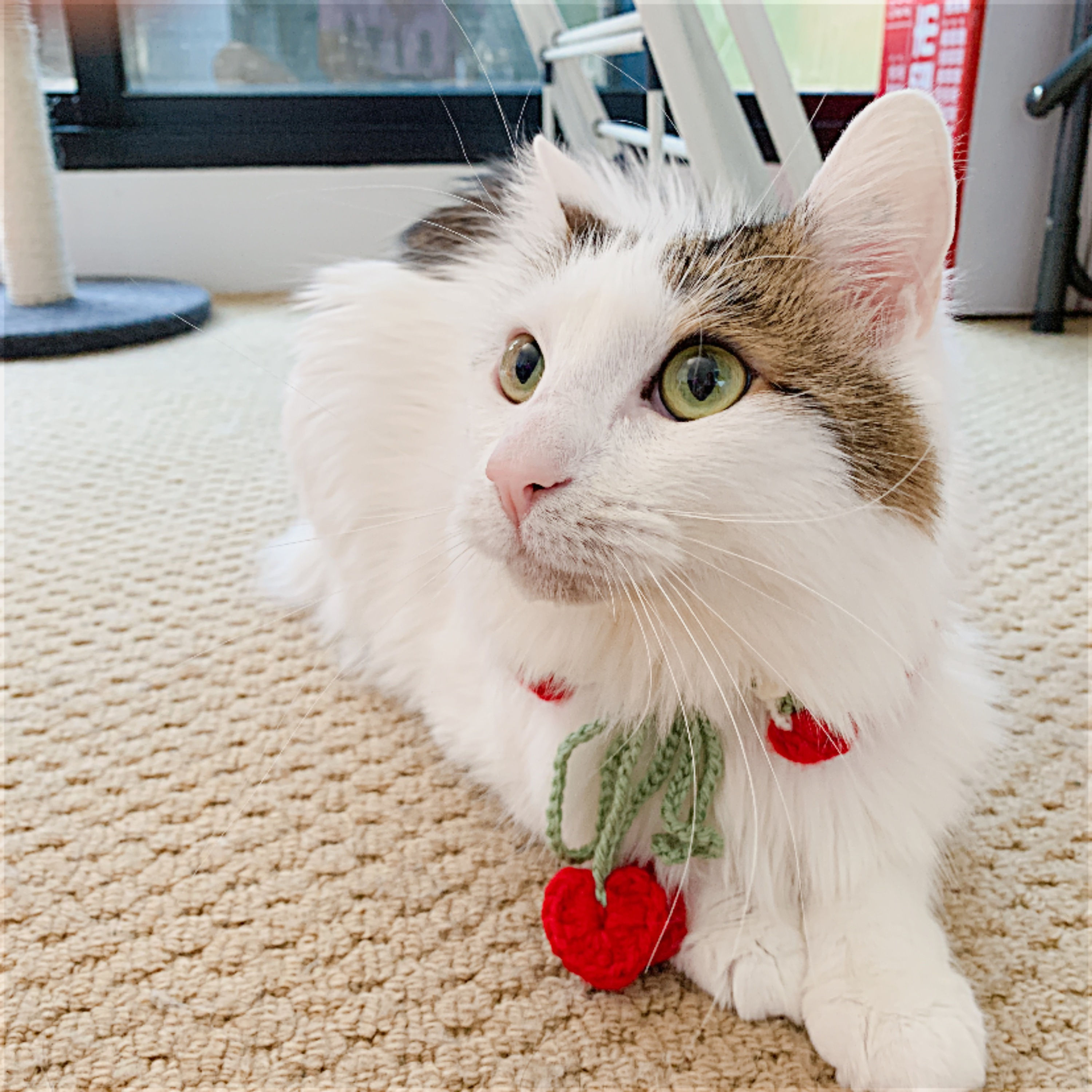 Crochet Pet Collar - Heart style