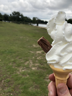 ice cream in the New Forest