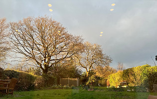 IMG_0179.jpeg