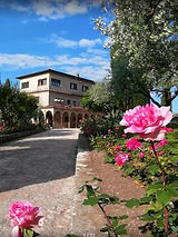 IMG_0013.jpeg