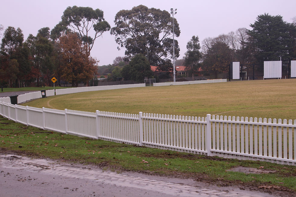New Picket Fence 1 - 18 Jun 2021.JPG