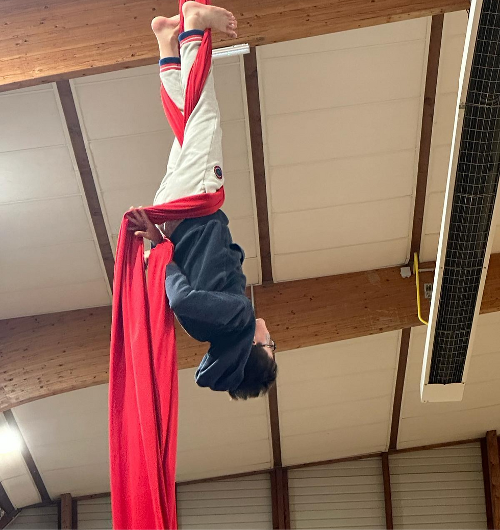 STAGE DE CIRQUE : du 04 au 08 mars 2024