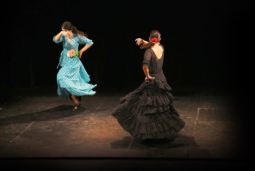 flamenco.jpeg