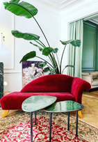 Whitagram-Image_edited.png
