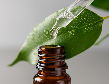 Untitled design (12).png
