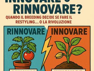 Innovare o Rinnovare? Quando il breeding decide se fare il restyling… o la rivoluzione