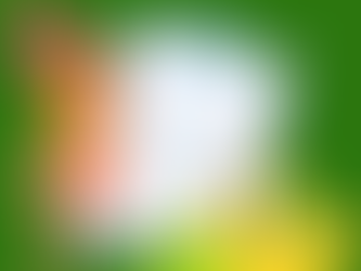 Terapia para Trastornos de la Conducta Alimenticia: Hacia una Relación Sana con la Comida y el Cuerpo