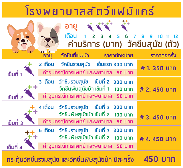 Price list website-02.png