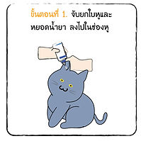 หยอดหู-03.jpg