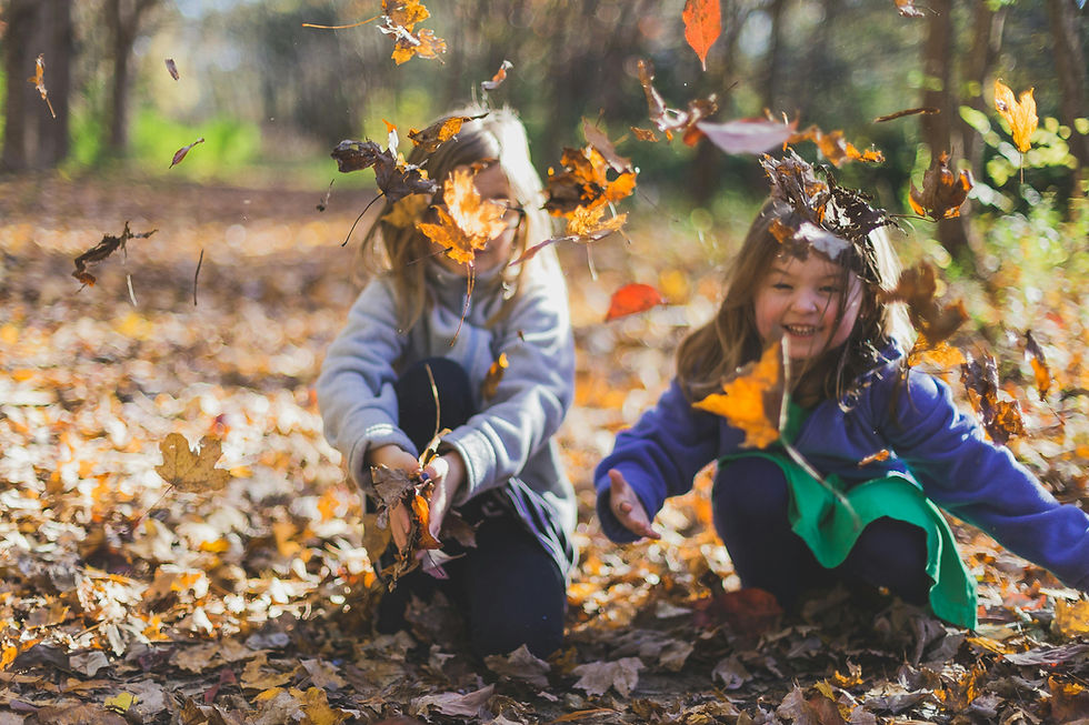 Practical Positive Discipline Strategies for Parents