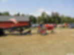 The Springfield Fair's