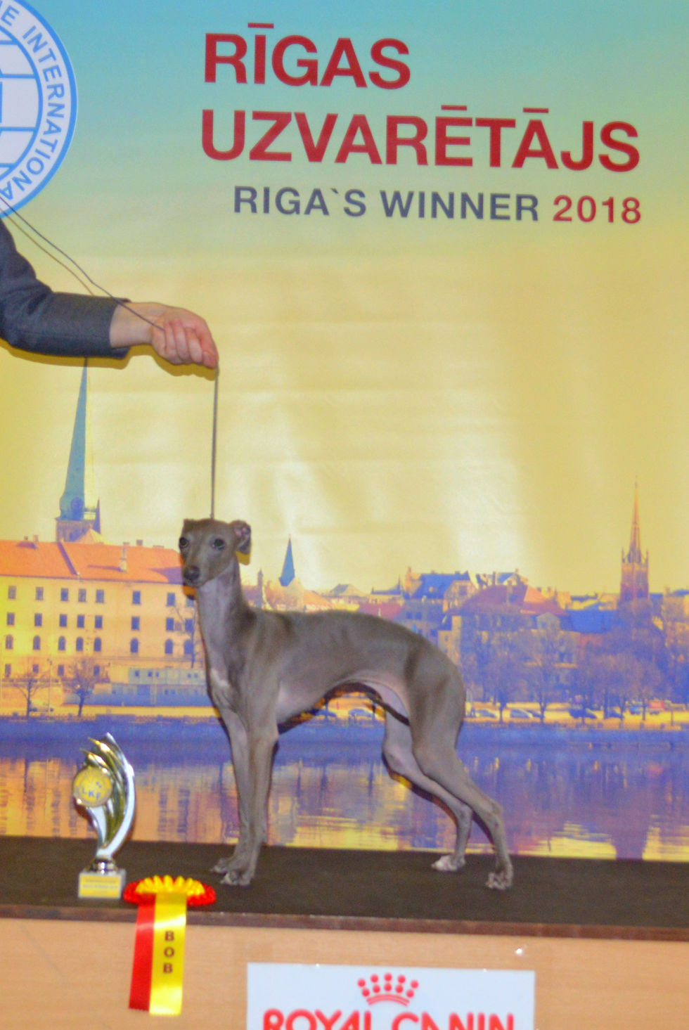 Best of Breed at "Riga's Winner'2018