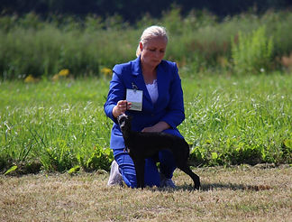 vika_01.jpg