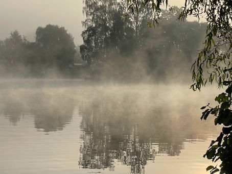 NebeL oder LebeN?