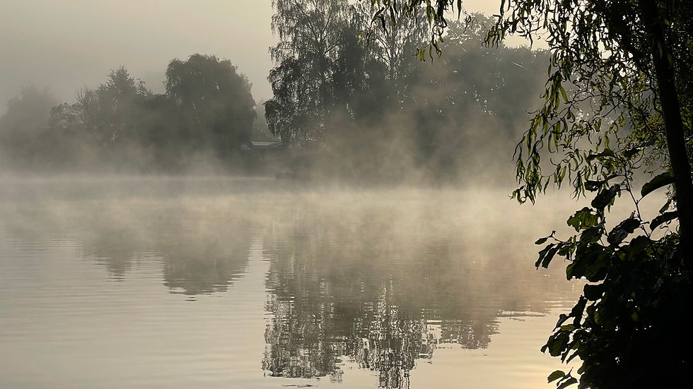 NebeL oder LebeN?