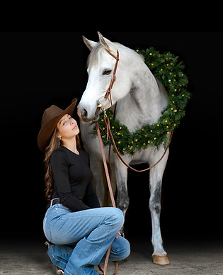 horse portrait photographer, fine art equine - fyvie studios burlington ontario