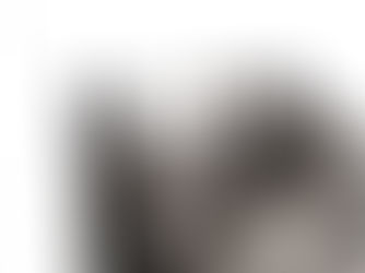 Three Appaloosas at Green Acres | Equine Photography in Waterdown