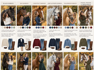 What to Wear: Horse & Rider Colour Guide
