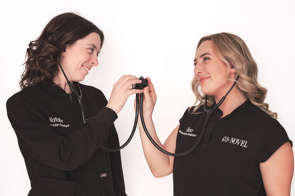 business branding photography burlington, medical specialist photography ontario