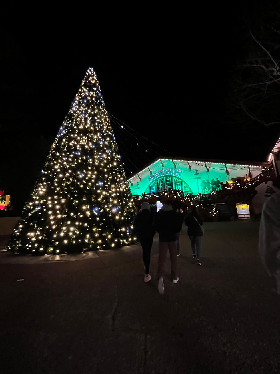 Giant Christmas tree