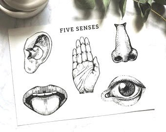 Unlock Wellness Through the Power of Your Five Senses