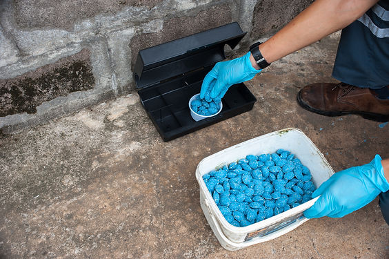 Get rid of rat using bait poison box, p