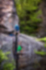 How to Multi Pitch Climb.jpg
