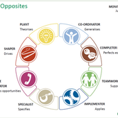 Using Belbin Team Roles to create inclusive teams.