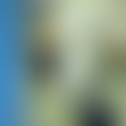 Monthly Plays Recommendations - CI Insider #4