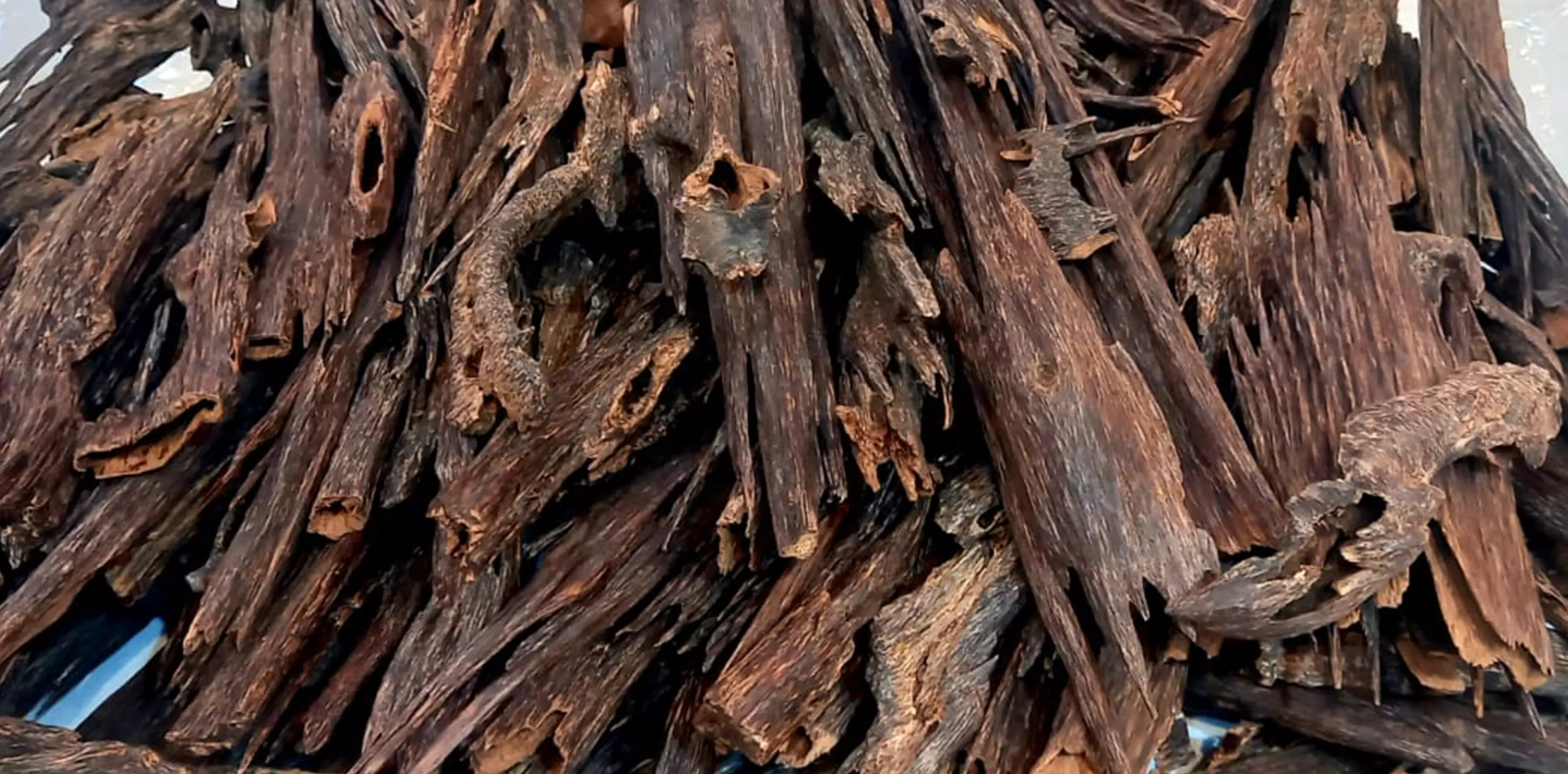 Shah's Oud Cambodia Super Sticks 10gms