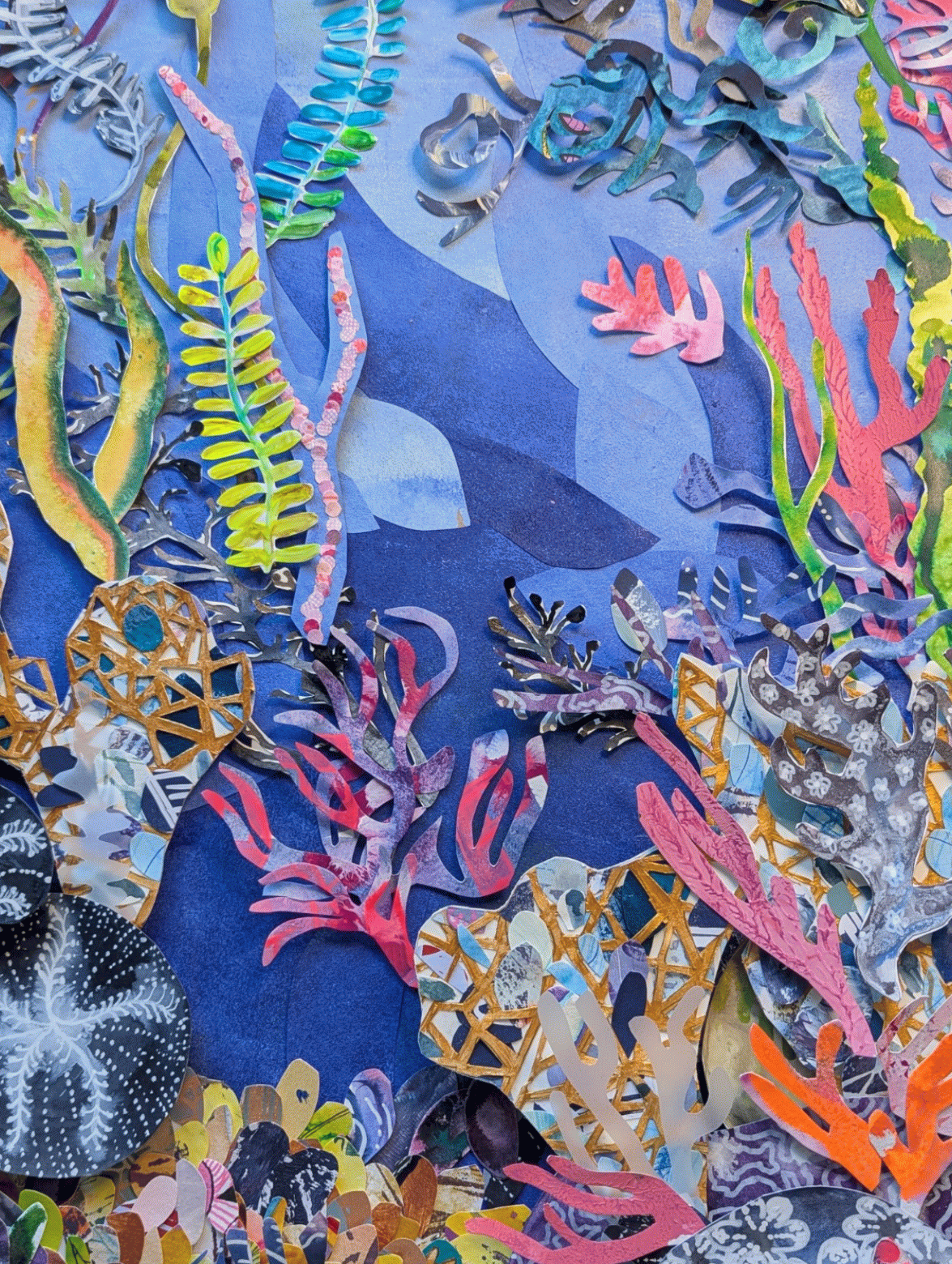 Coral reef_animation.gif