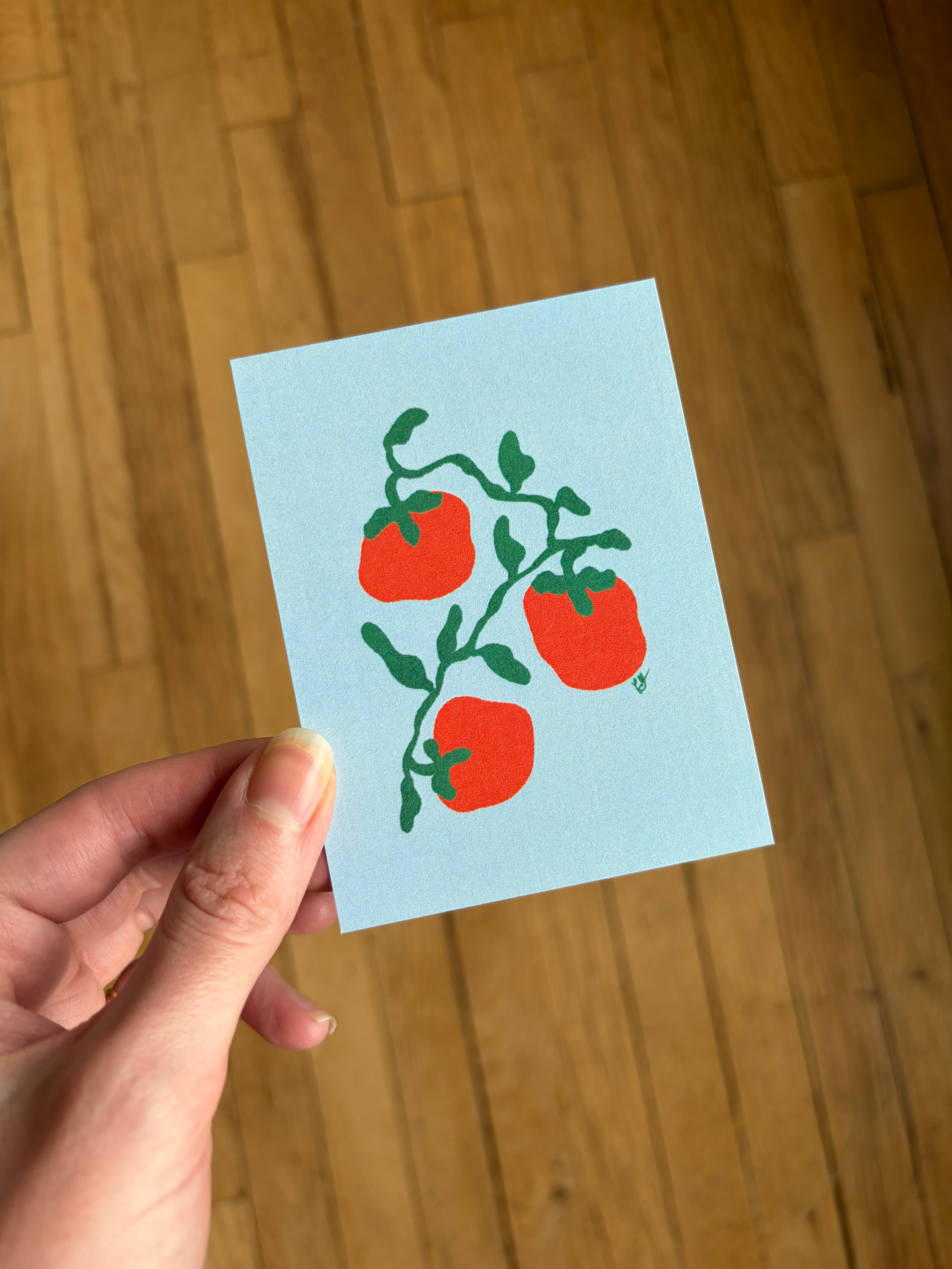 Tomato Mini