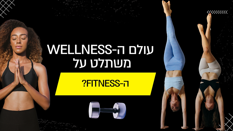 עולם הוולנס והפיטנס
