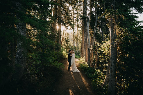 Mount Rainier elopement sunset