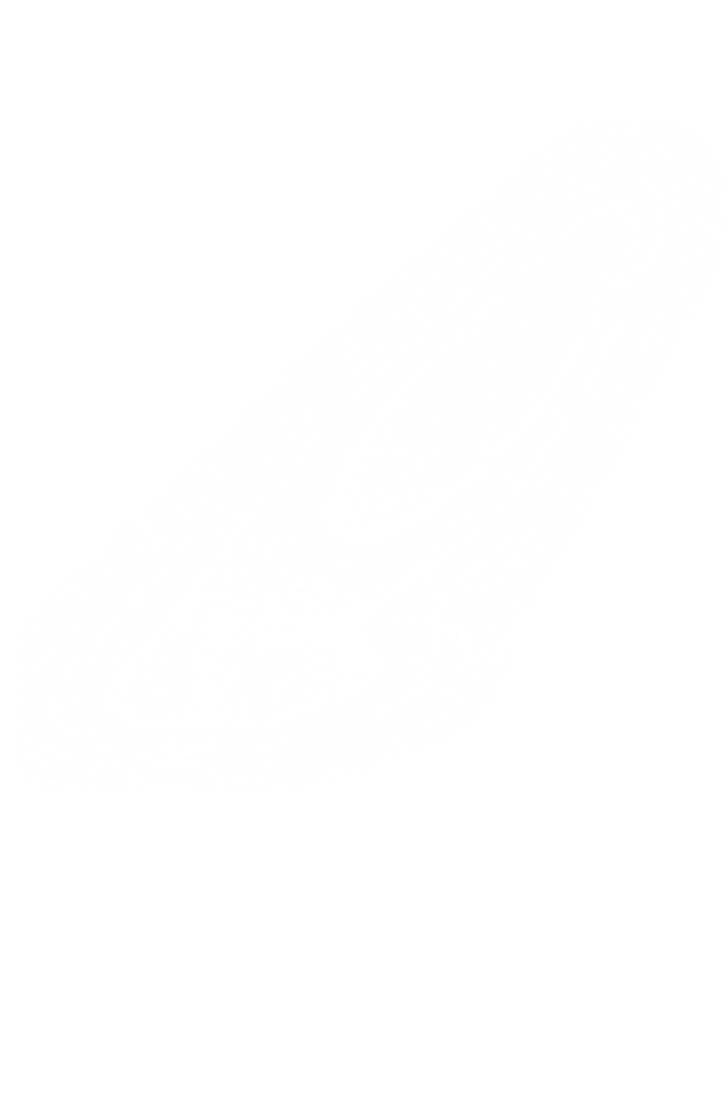 Untitled design (9)_edited.png