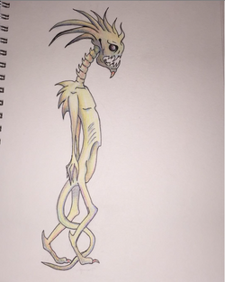 Skeletal Creature