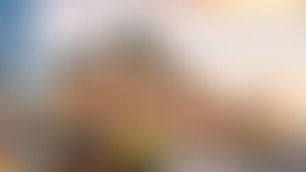 🚌 Melbourne City Tour – 1 Ngày Khám Phá Đầy Hứng Khởi