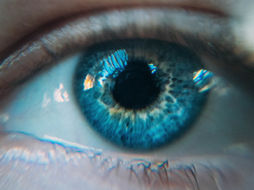Winter Eyecare