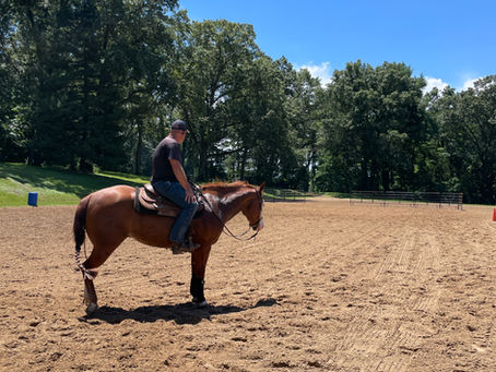 When Repetition Stops Helping Your Horse