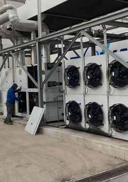 WhatsApp Image 2025-01-27 at 17.56_edited.jpg