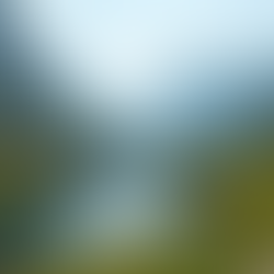 Die Kunst der 360°-Panoramafotografie